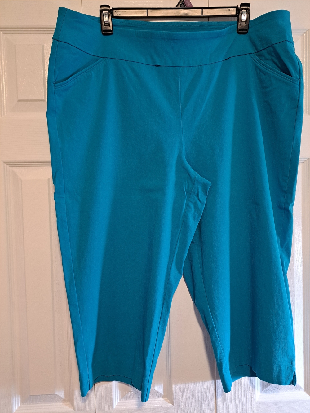Worthington Teal Woman Capri Pants